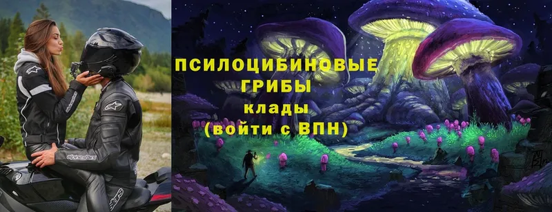 Галлюциногенные грибы MAGIC MUSHROOMS  Ардатов 